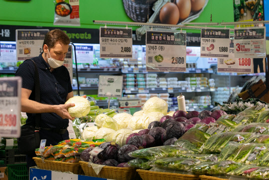 서울 시내 한 대형마트 신선식품 판매대에서 한 외국인이 양배추를 만져보고 있다. 이슬기기자 9904sul@dt.co.kr